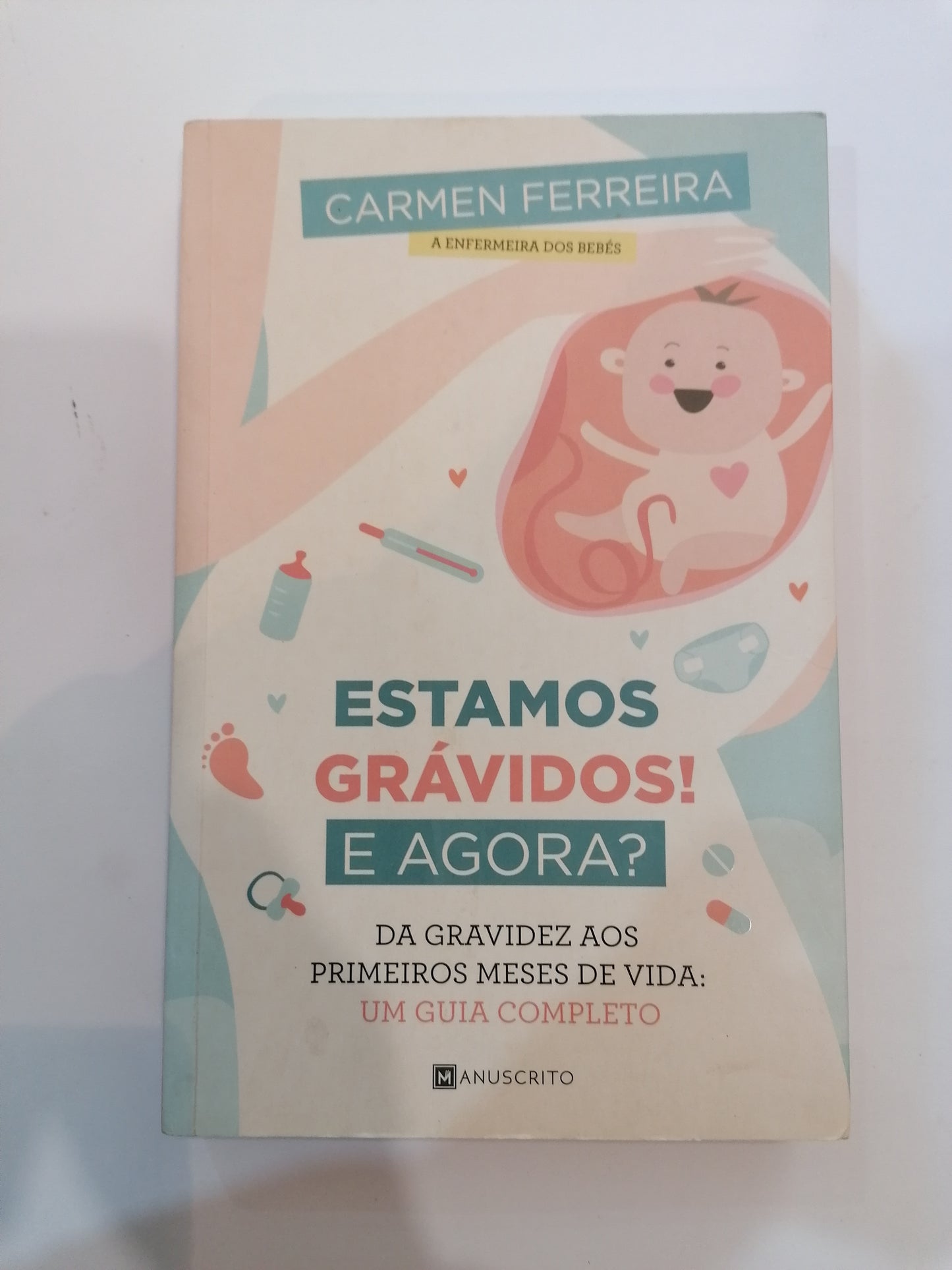 Guia da gravidez da Enfermeira Carmen Ferreira, capa ilustrada sobre os primeiros meses do bebé.