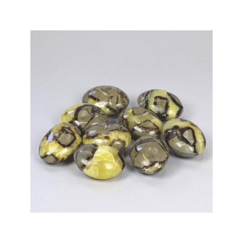 Septaria ou Pedra do Dragão