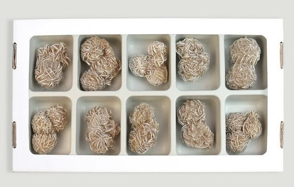 Rosa de Areia 3/5 cms (Esgotado de momento)