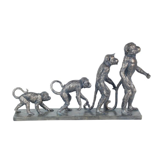 A Evolução do Macaco