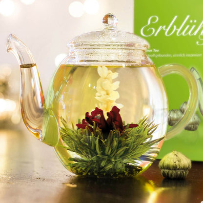 Bule de vidro Creano de 500ml com flor de cha verde aberta em infusao