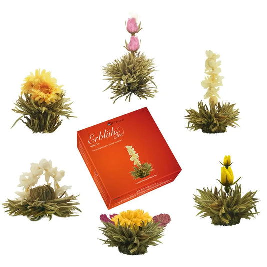 Caixa de presente elegante com mix de 6 flores de chá branco Creano