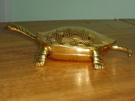 Caixa Tartaruga  - Latão