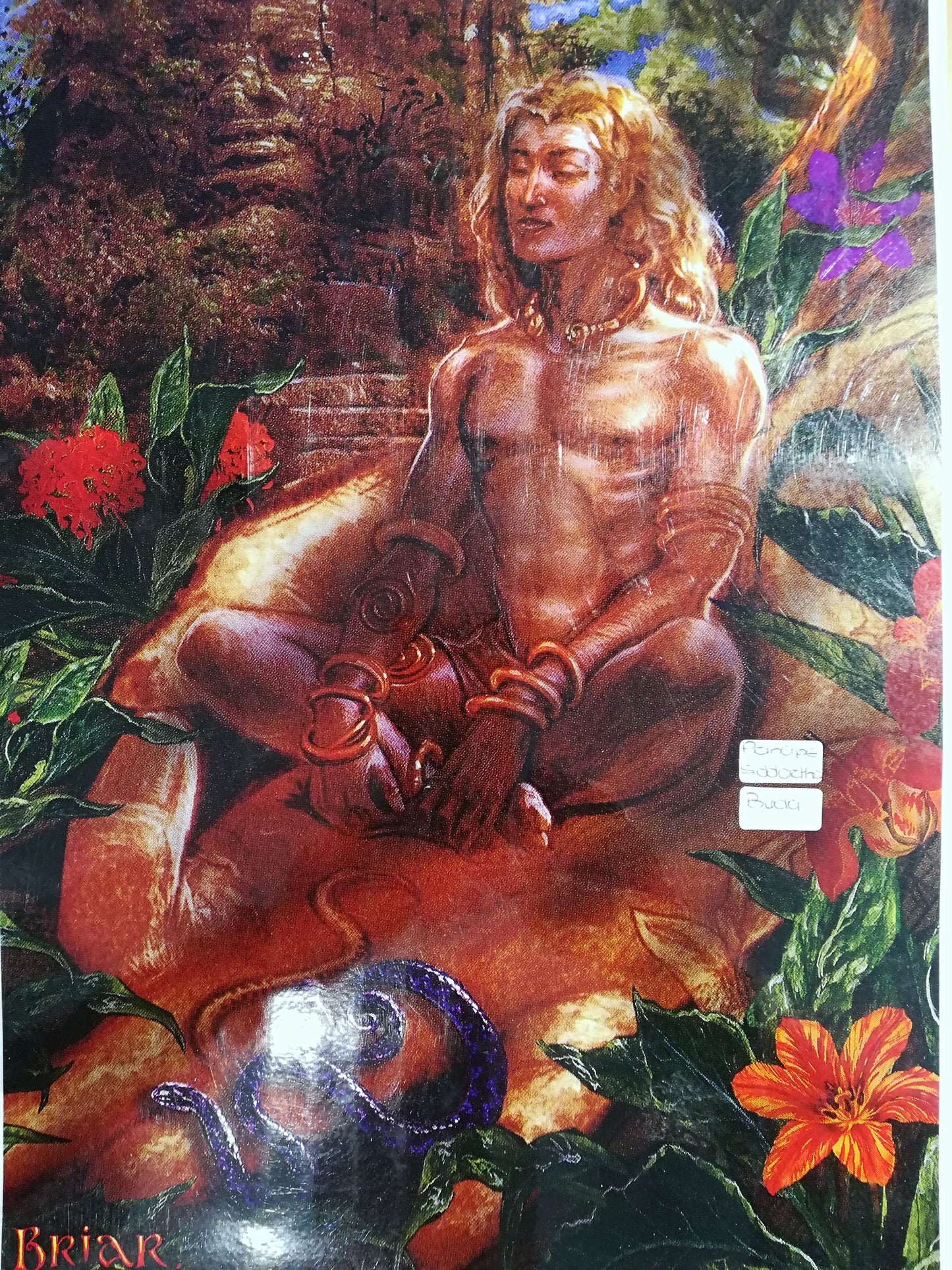 Poster Buda em Meditação
