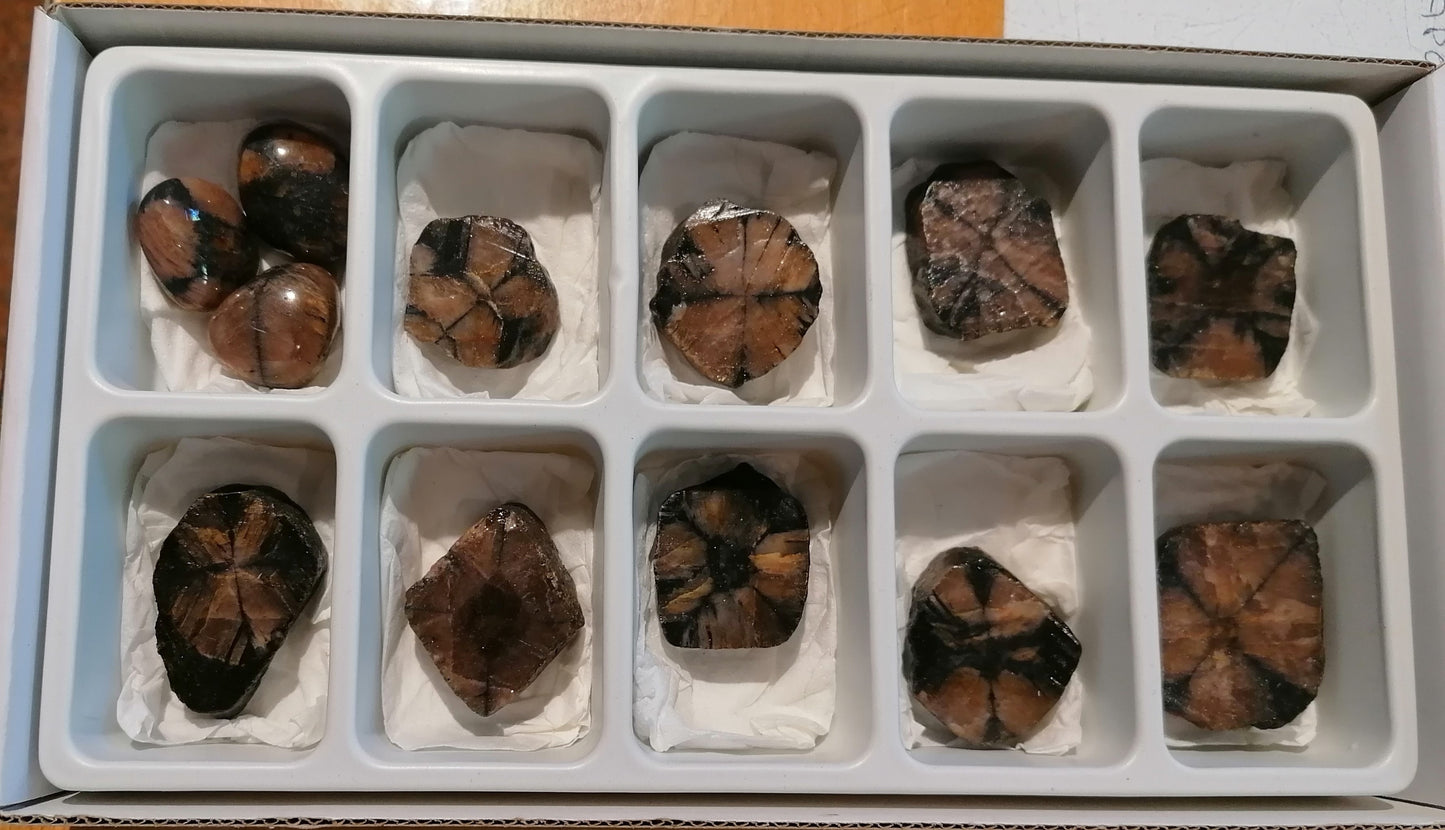 Quiastolite ou Cruz de Sto. André