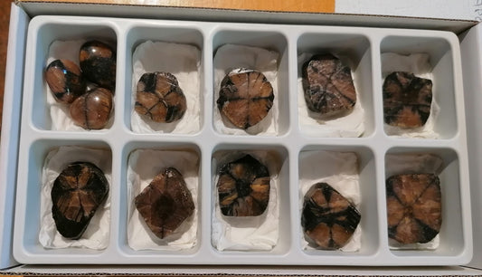 Quiastolite ou Cruz de Sto. André