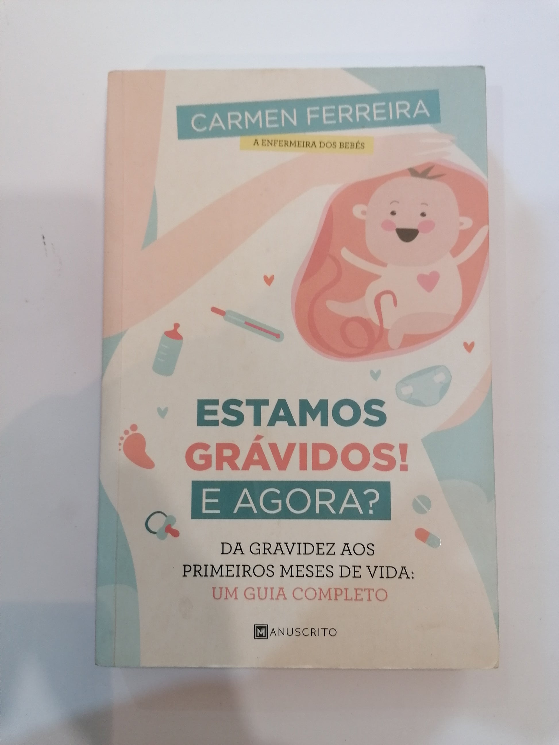 Guia da gravidez da Enfermeira Carmen Ferreira, capa ilustrada sobre os primeiros meses do bebé.