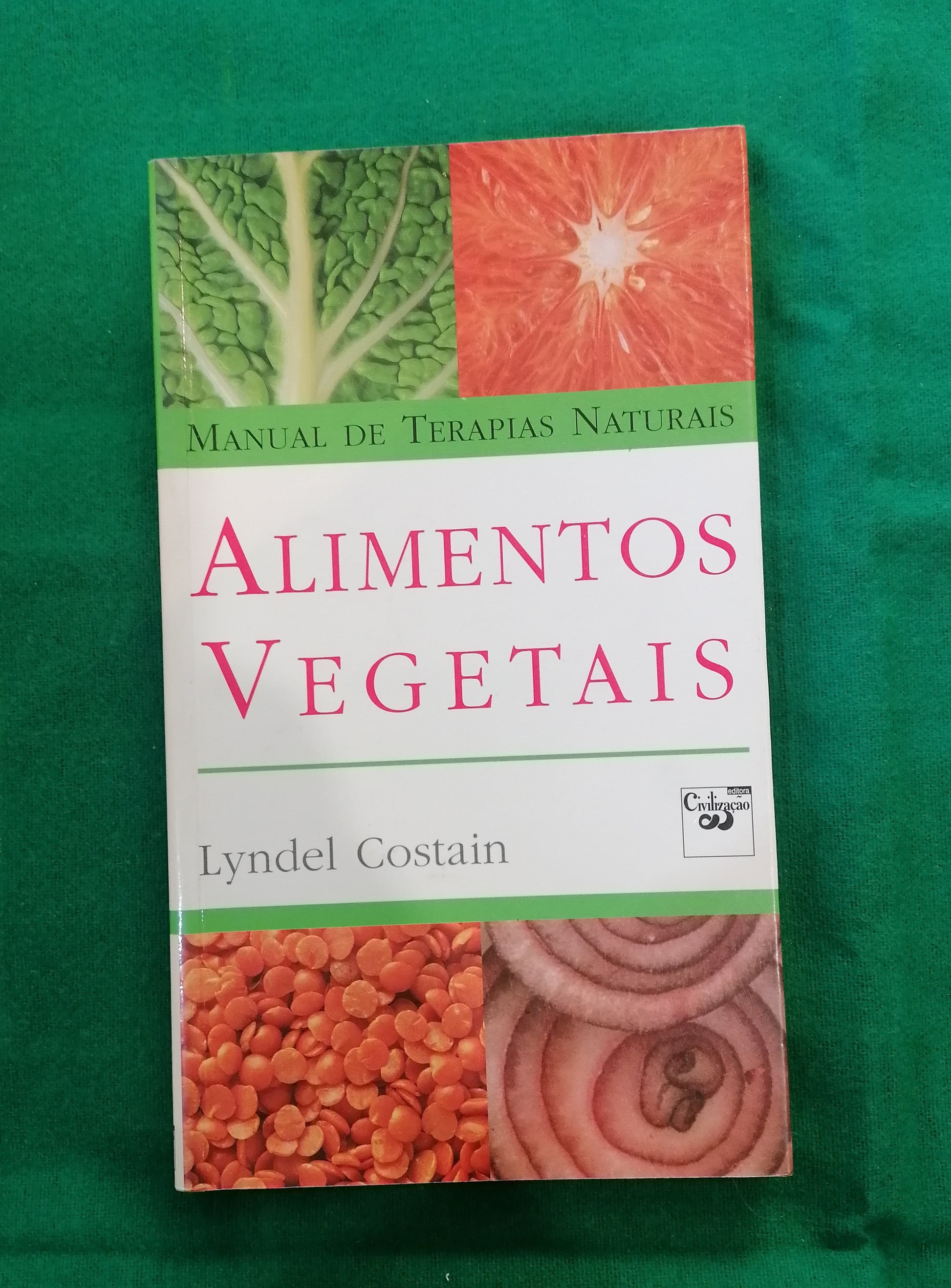 Manual de Terapias Naturais Alimentos Vegetais de Lyndel Costain, edição rara com fotografia de vegetais frescos na capa.