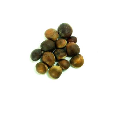 Olho de Boi-Preço unidade