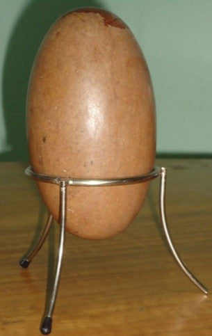 Shiva Lingam