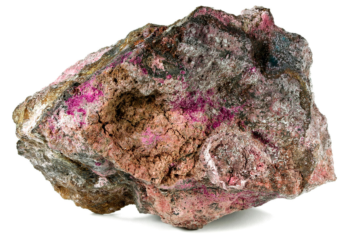 Eritrina ou Flor de Cobalto