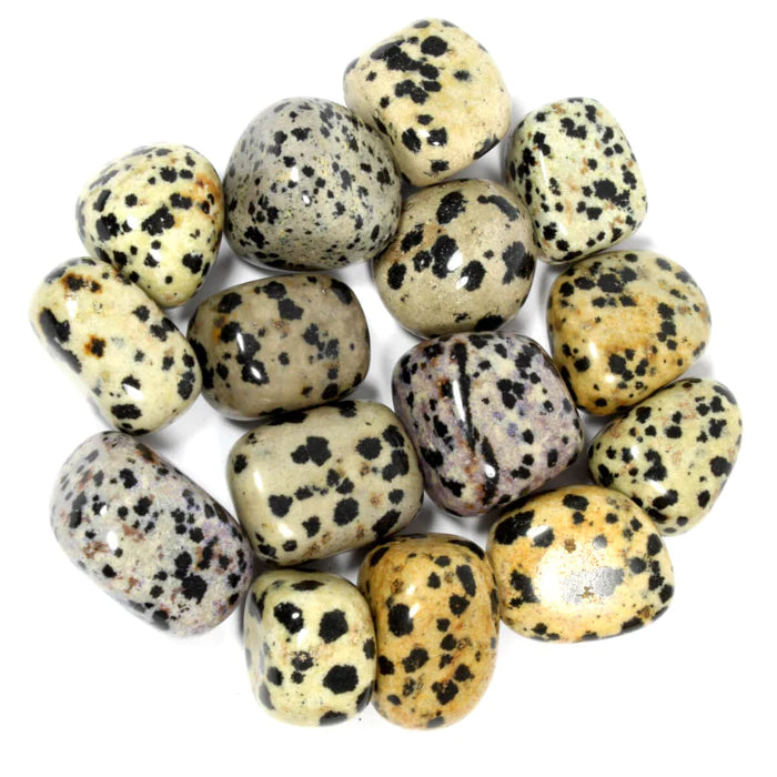 Pedra Jaspe Dálmata branca com manchas pretas naturais, lembrando o padrão da raça Dálmata