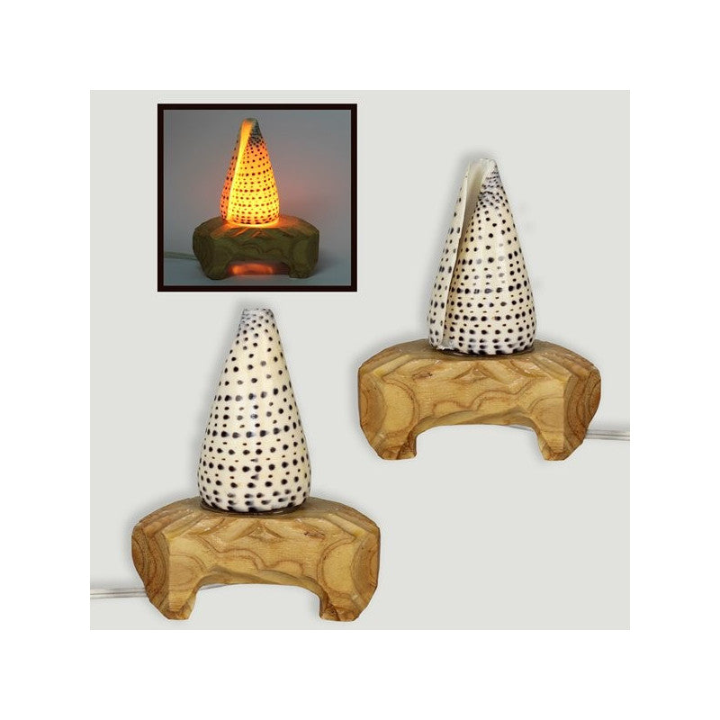 Candeeiro de Concha 15 cm