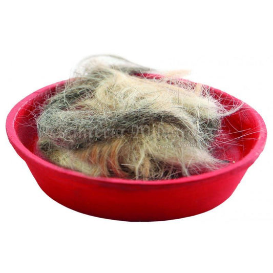 Pelo de Perro (Cão)