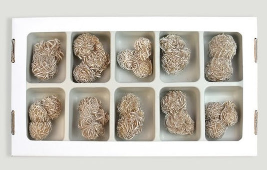 Rosa de Areia 3/5 cms   (Esgotado de momento)