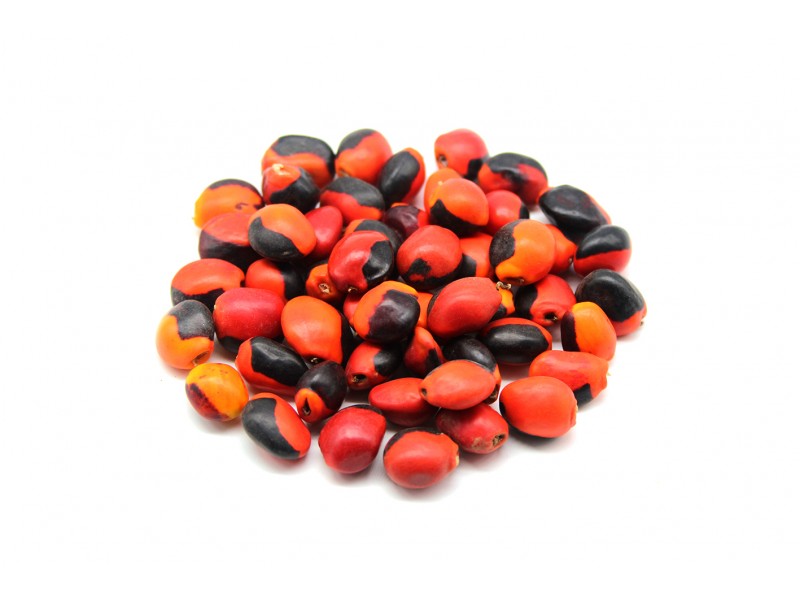 Semente Olho de Cabra-Preço unidade