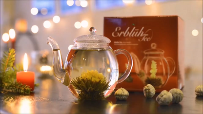 Flor de chá branco Creano aberta em infusão dentro de bule transparente